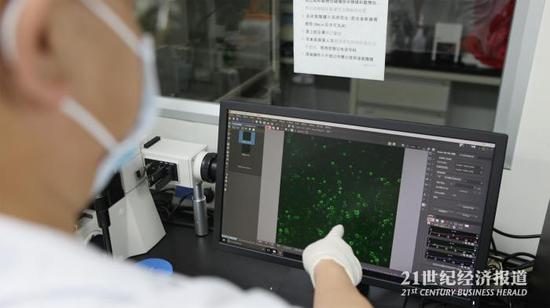 图：陈瑶生团队建立了国内生猪种源数据中心和生猪育种基因库